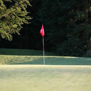 Eine Golf- Fahne markiert das Loch auf dem Golfgrün.