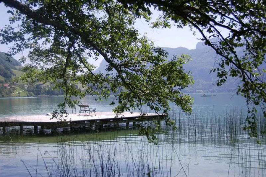 View point at the Mondsee lake