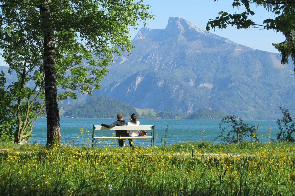 Park bench in front of the hotel directly on the lake Seehof Mondsee with view