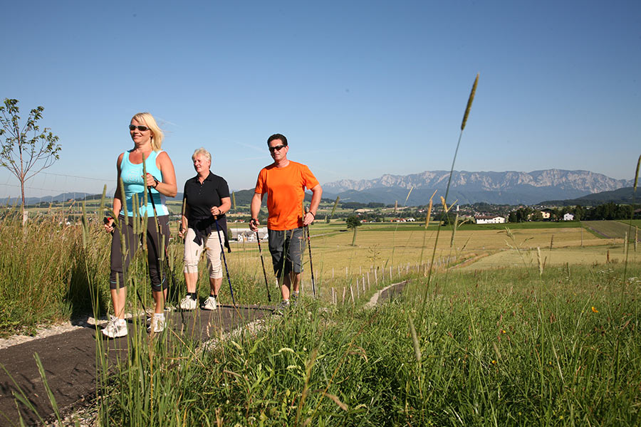 Group of holidaymakers on one of the many Nordic walking routes in Mondseeland