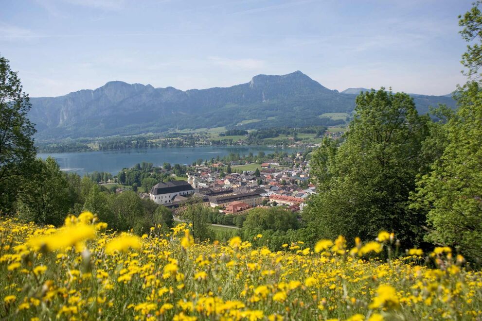 Wunderschöner Ausblick auf den See und Ort Mondsee von einer Blumenwiese auf einem Berg