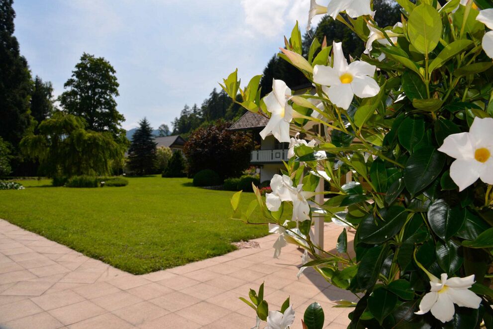 Gartenanlage mit blühenden Blumen und einem schönen Rasen im Sonnenschein am Mondsee