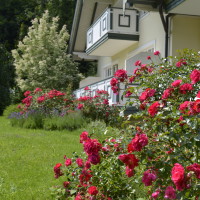 Urlaub am See im Salzkammergut