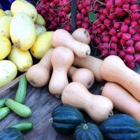 Frisches Gemüse am Bauernmarkt in Mondsee
