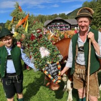 Leitkuh mit Bauer beim Almabtrieb